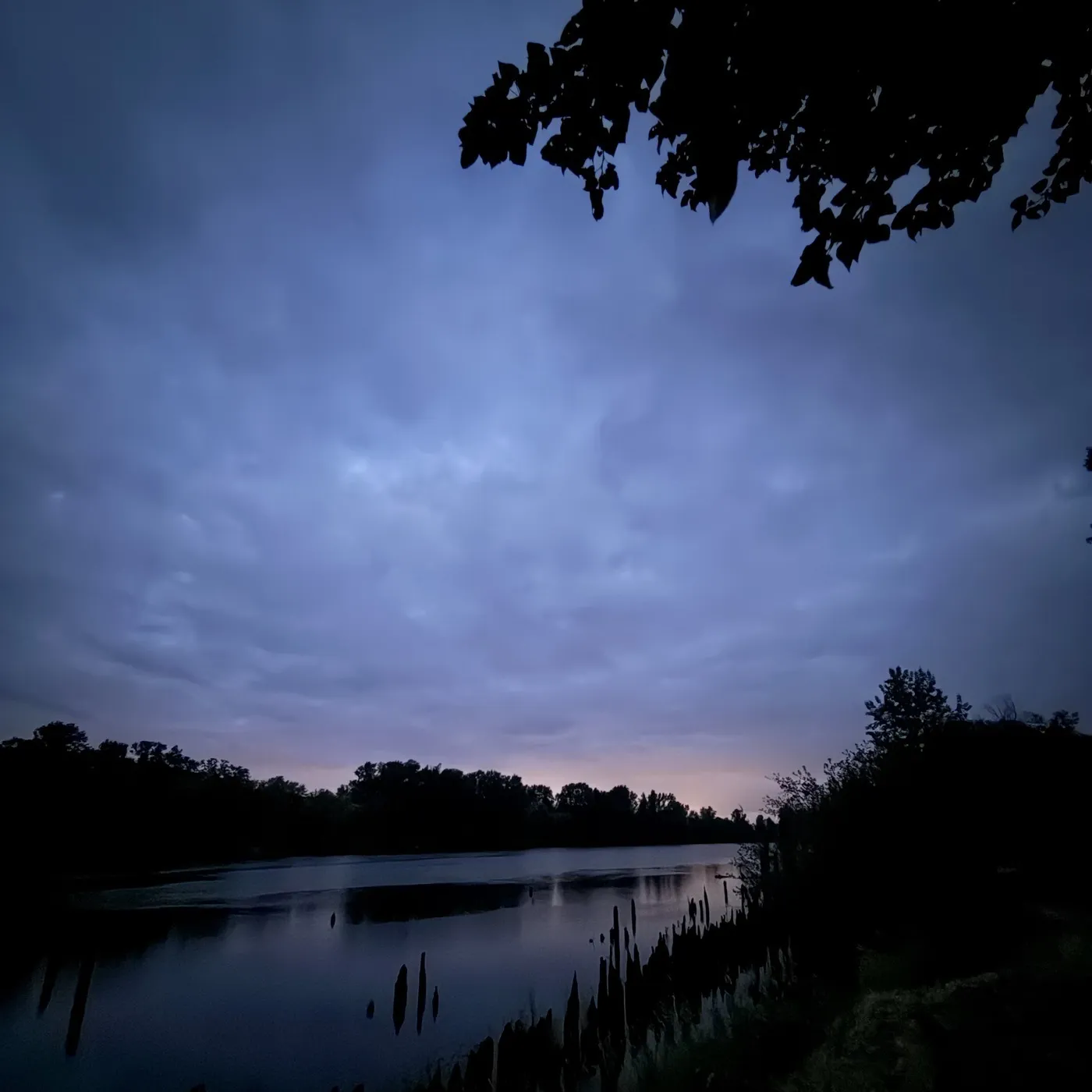Dusk over the water at the Altar, trees along the far bank and pilings in the shallows
